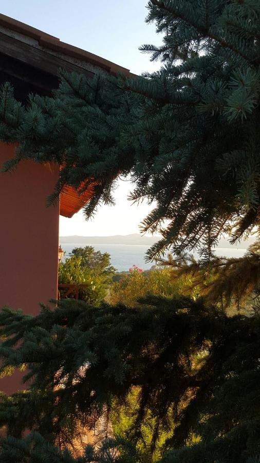 Apartmán Casale Citerno Bolsena Exteriér fotografie