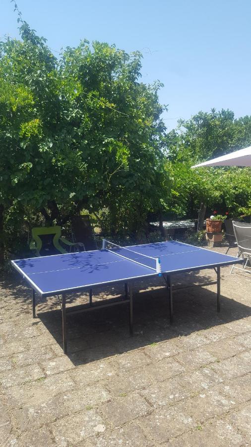 Apartmán Casale Citerno Bolsena Exteriér fotografie
