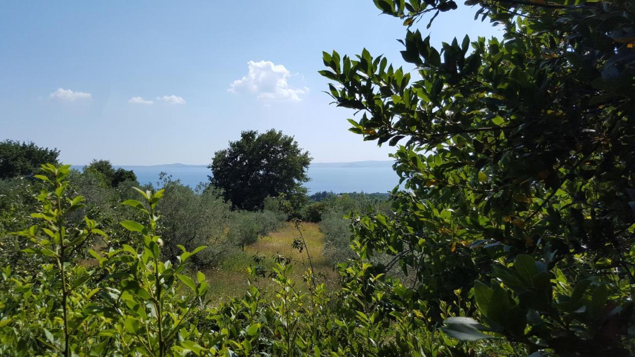 Apartmán Casale Citerno Bolsena Exteriér fotografie