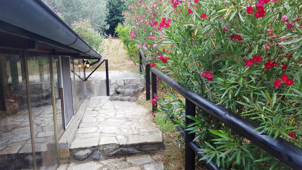 Apartmán Casale Citerno Bolsena Exteriér fotografie